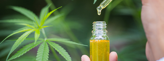 What Are The Health Benefits Of CBD?